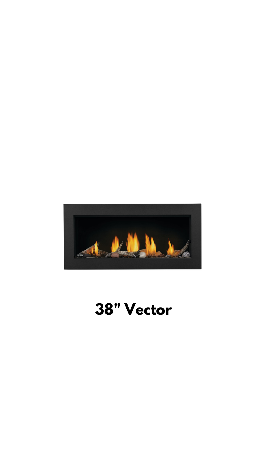 Vector 38"