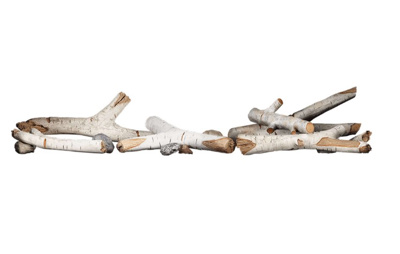 ****  WHILE SUPPLIES LAST - OBSOLETE AS OF END OF 2023  ****Napoleon Extra Large Birch Log Kit (BLKXL)