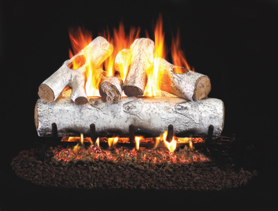 Real Fyre White Birch 24" Vented Log Set, Natural Gas and Propane (W-24)