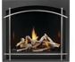 Napoleon Altitude X 36" Direct Vent Fireplace with Electronic Ignition, Natural Gas (AX36NTE)