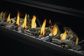 Napoleon Vector 50" Direct Vent Linear Fireplace with Electronic Ignition, Natural Gas (LV50N-2)
