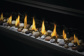 Napoleon Vector 50" Direct Vent Linear See-Through Fireplace with Electronic Ignition, Natural Gas (LV50N2-2)
